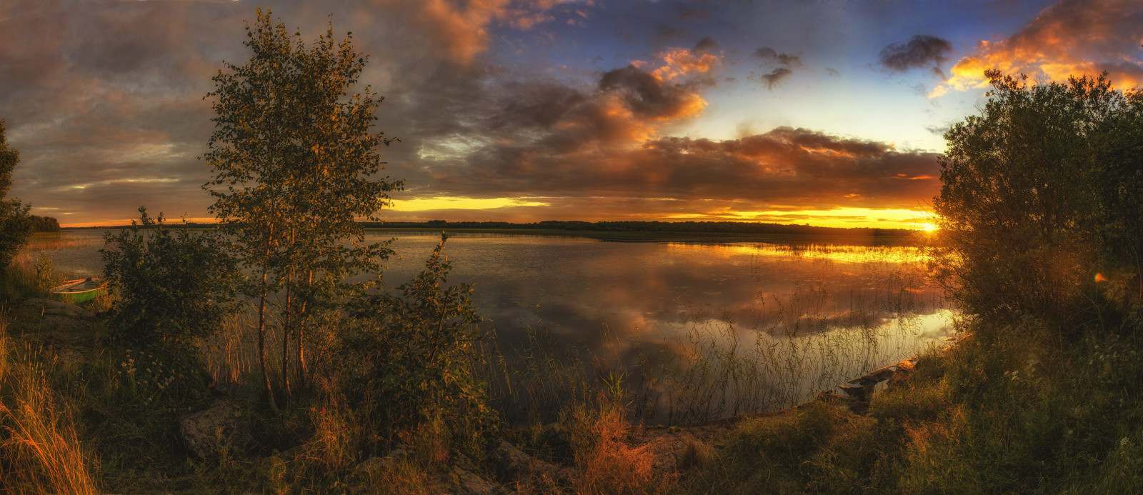 grass, the sky, summer, lake, sunset, shore, stones, trees