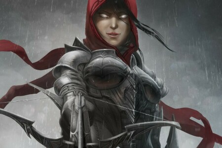 armaduras, arte, Besta, Caçador de Demônios, Diablo III, menina, de capuz, chuva