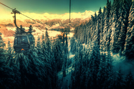 teleferic, pădure, munţi, zăpadă, funicularul, tratament