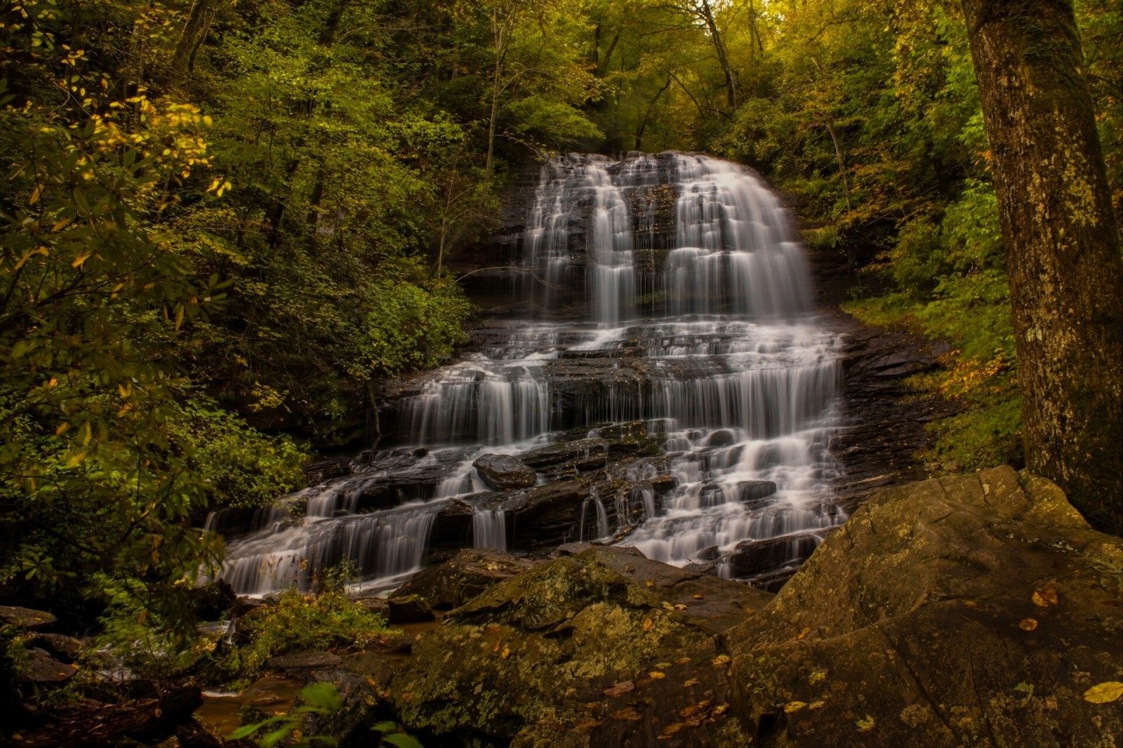 jeseň, les, vodopád, kaskáda, Severná Karolina, Pearson's Falls, Saluda