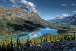 nuvole, foresta, lago, montagne, il cielo, alberi