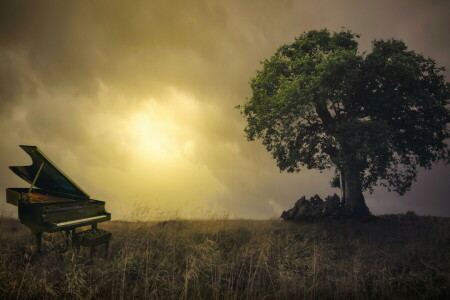 field, nature, piano