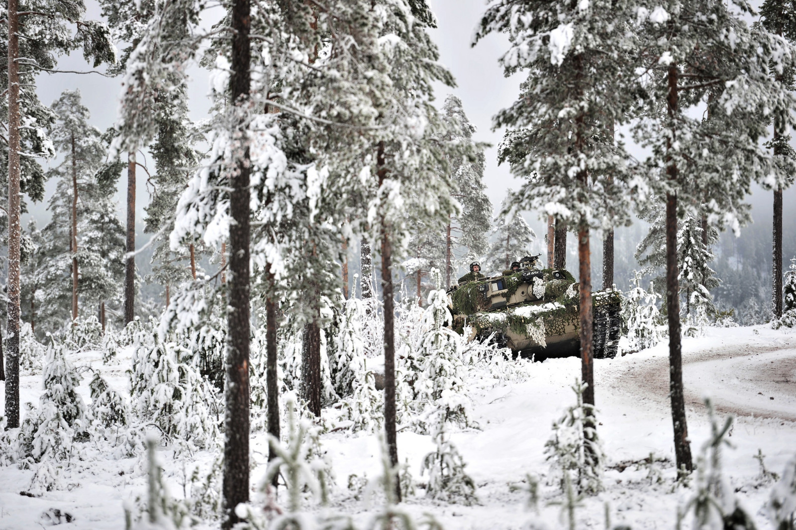 våpen, tank, Army