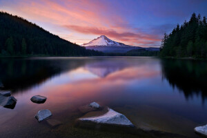 foresta, splendore, lago, Montagna, neve, la sera, il cielo