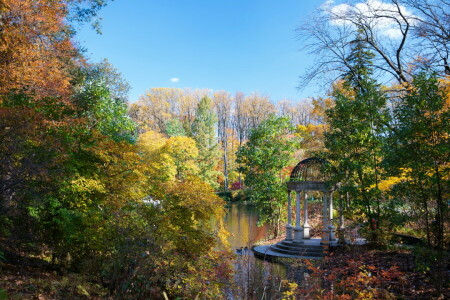 efterår, Kennett Square, Longwood, Parkere, Dam, træer, USA