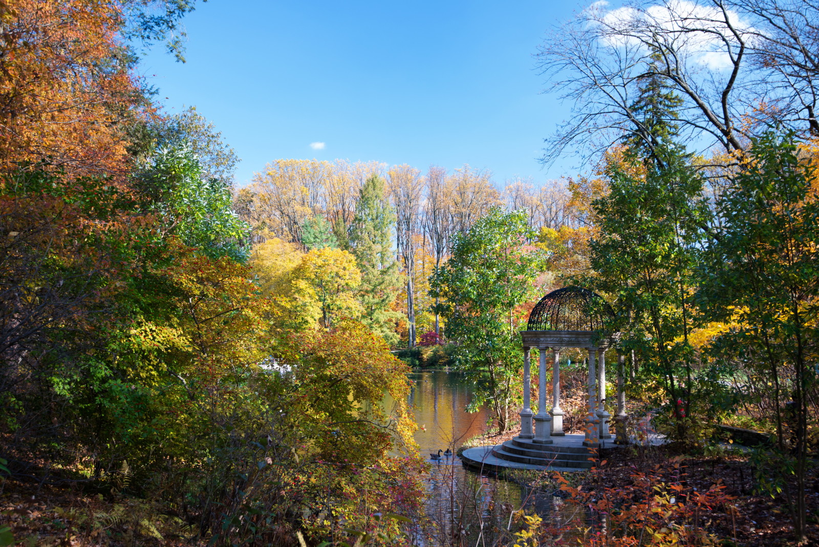 efterår, Parkere, træer, USA, Dam, Longwood, Kennett Square