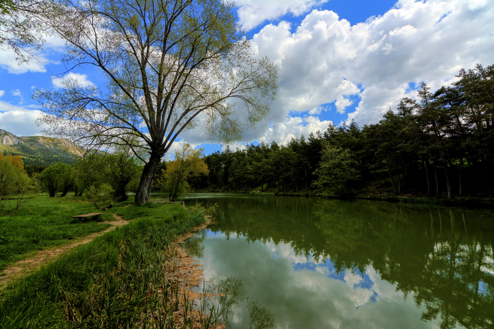 foresta, lago, riflessione, alberi, Francia, nuvole, montagne, acqua