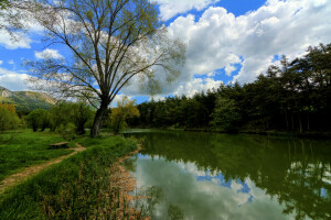 nuvole, foresta, Francia, lago, montagne, sentiero, riflessione, negozio