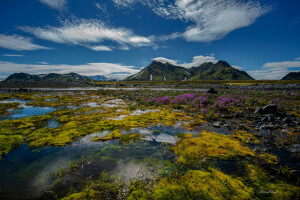 clouds, flowers, mountains, the sky, water