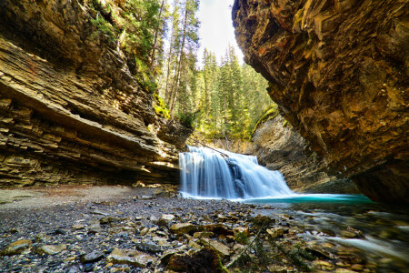 foresta, gola, fiume, rocce, pietre, ruscello, alberi, cascata