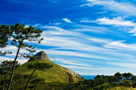 nuvens, Relva, Montanha, mar, o céu, topo, árvores