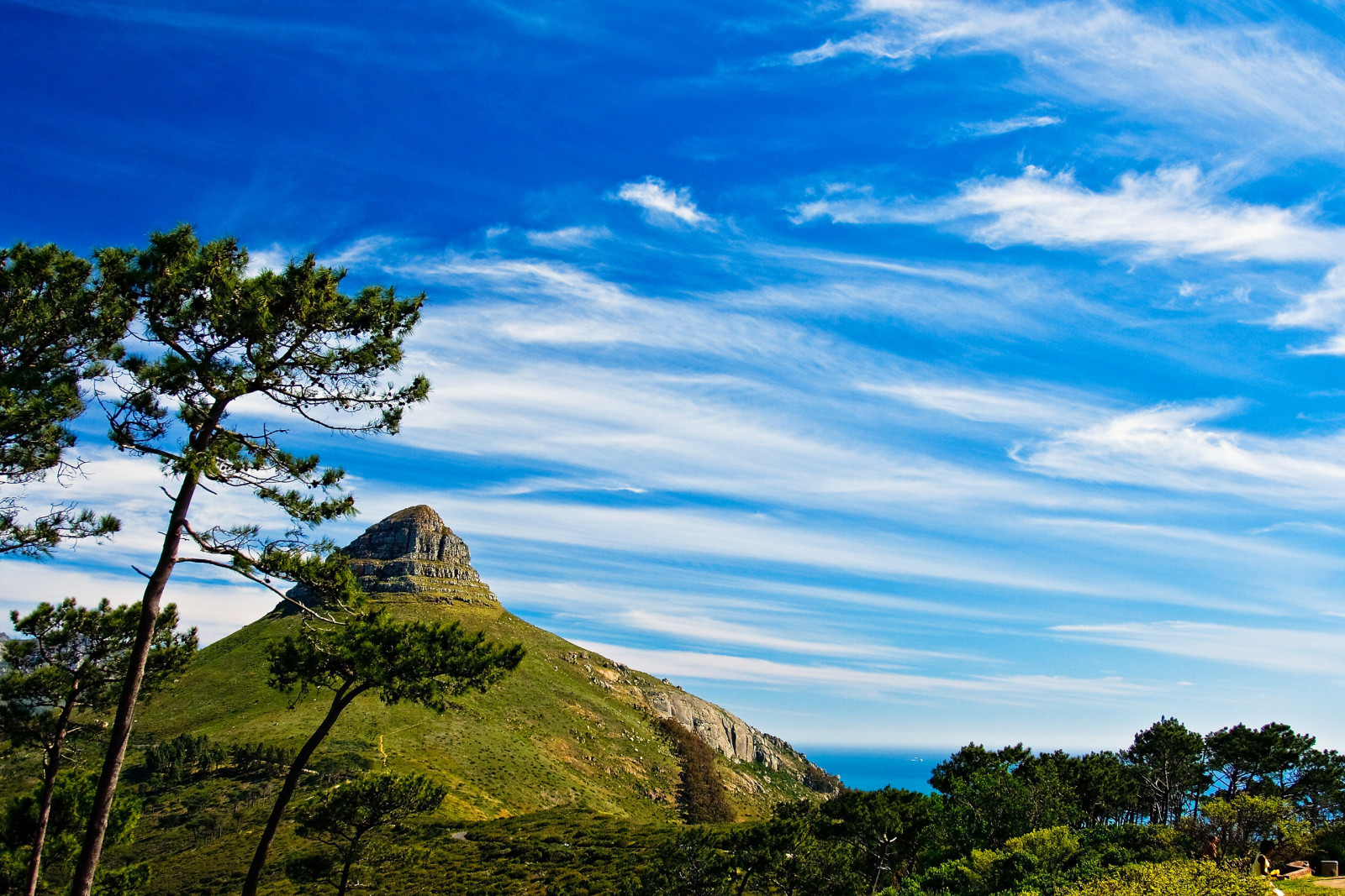 herbe, Le ciel, Montagne, mer, des arbres, des nuages, Haut