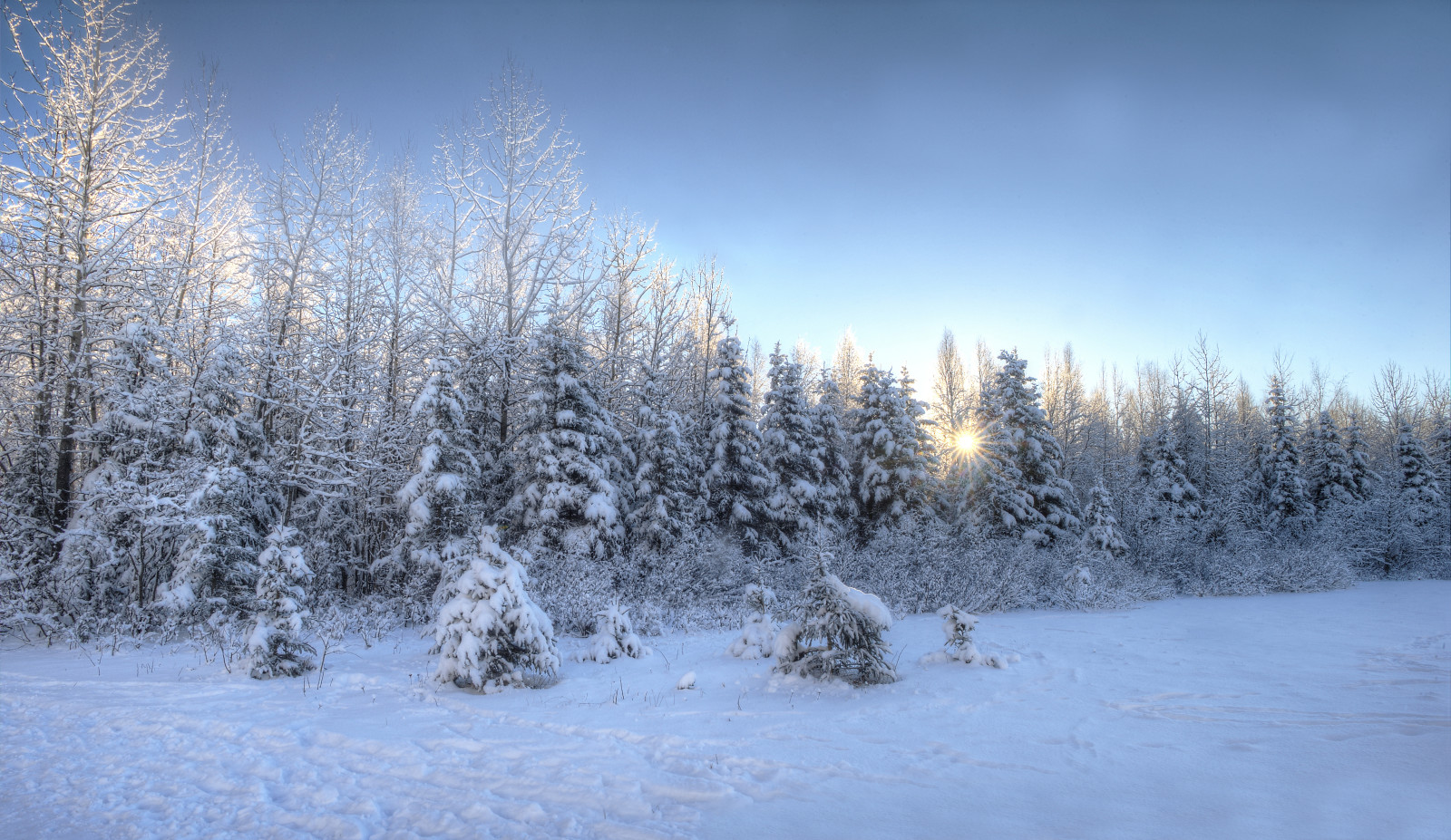 natur, solnedgång, vinter-, landskap, träd