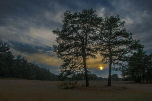 otoño, nubes, césped, puesta de sol, el cielo, arboles