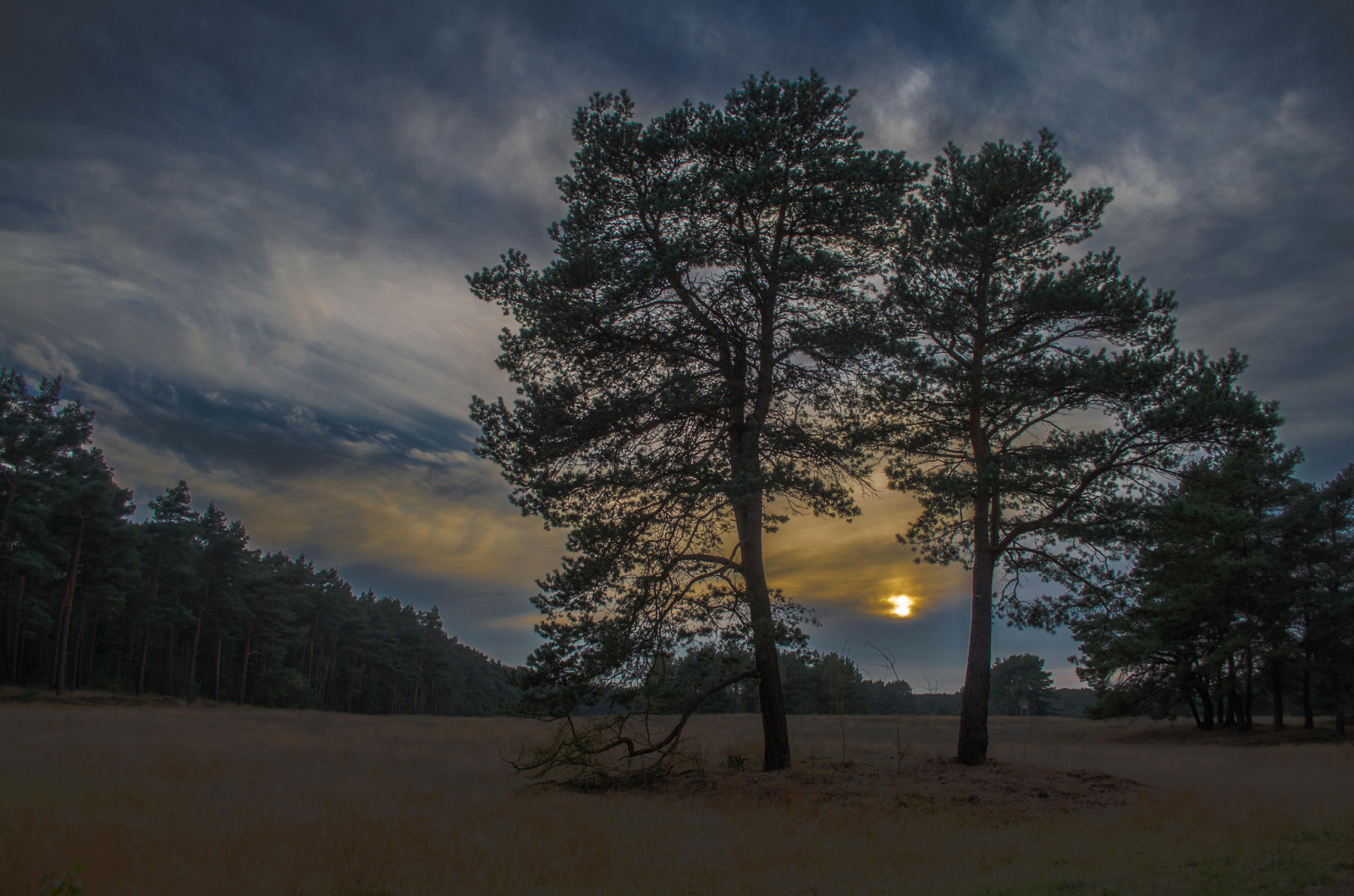 otoño, césped, el cielo, puesta de sol, arboles, nubes