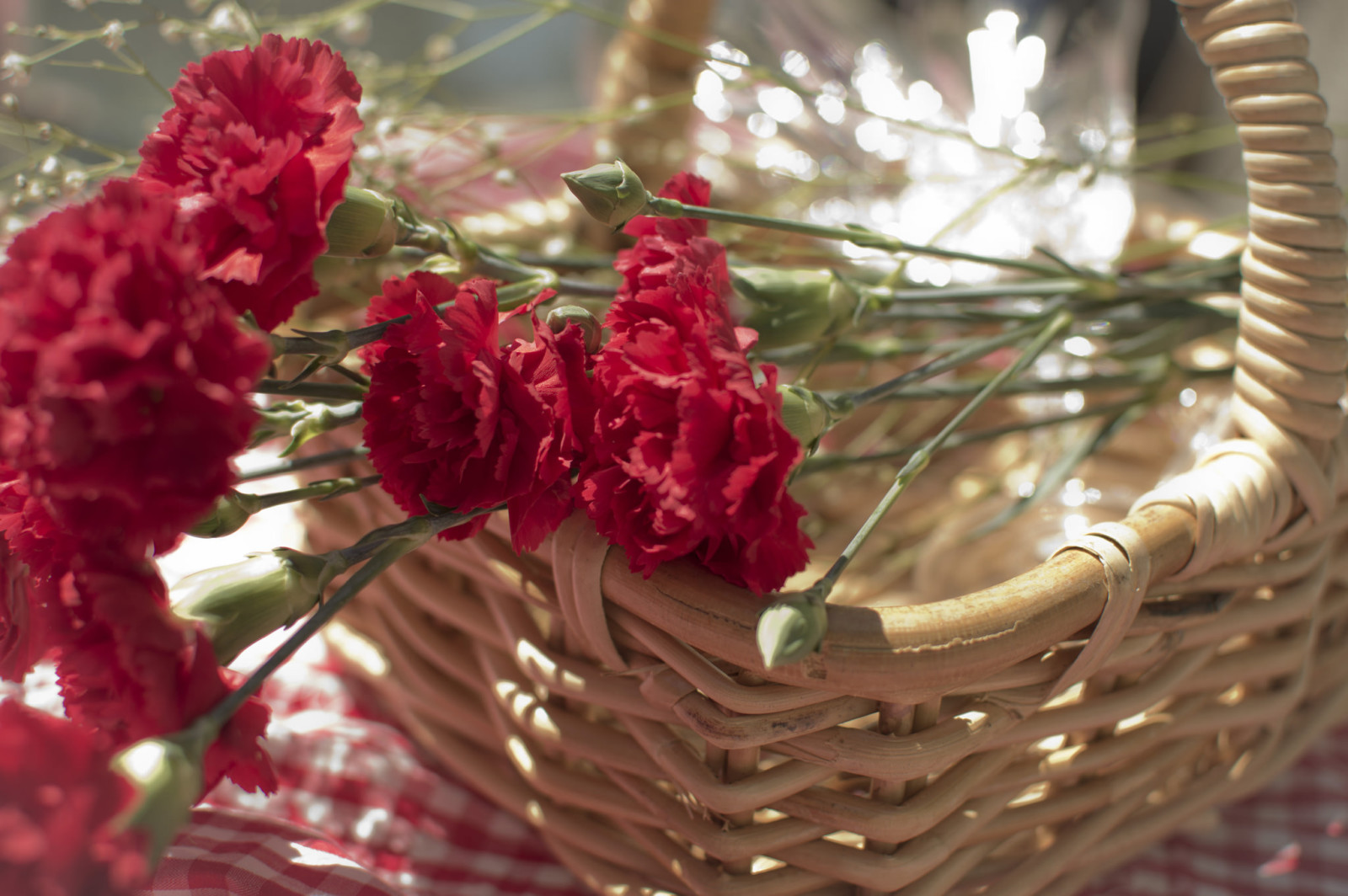 vermelho, flores, pétalas, dente de alho, cesta. cesta