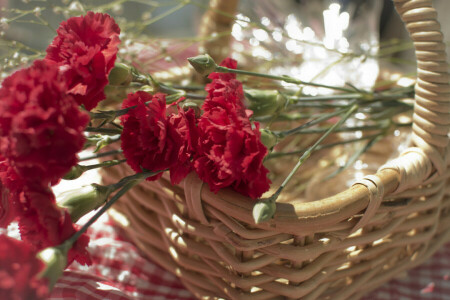 basket. basket, clove, flowers, petals, red