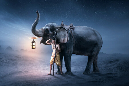 elephant, guy, in the night, lantern