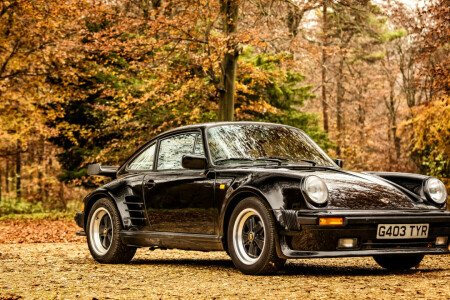 1989, 911, 930, coupe, Begrænset udgave, Porsche, turbo