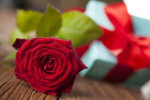 Geschenk, Liebe, rot, romantisch, Rose, Valentinstag