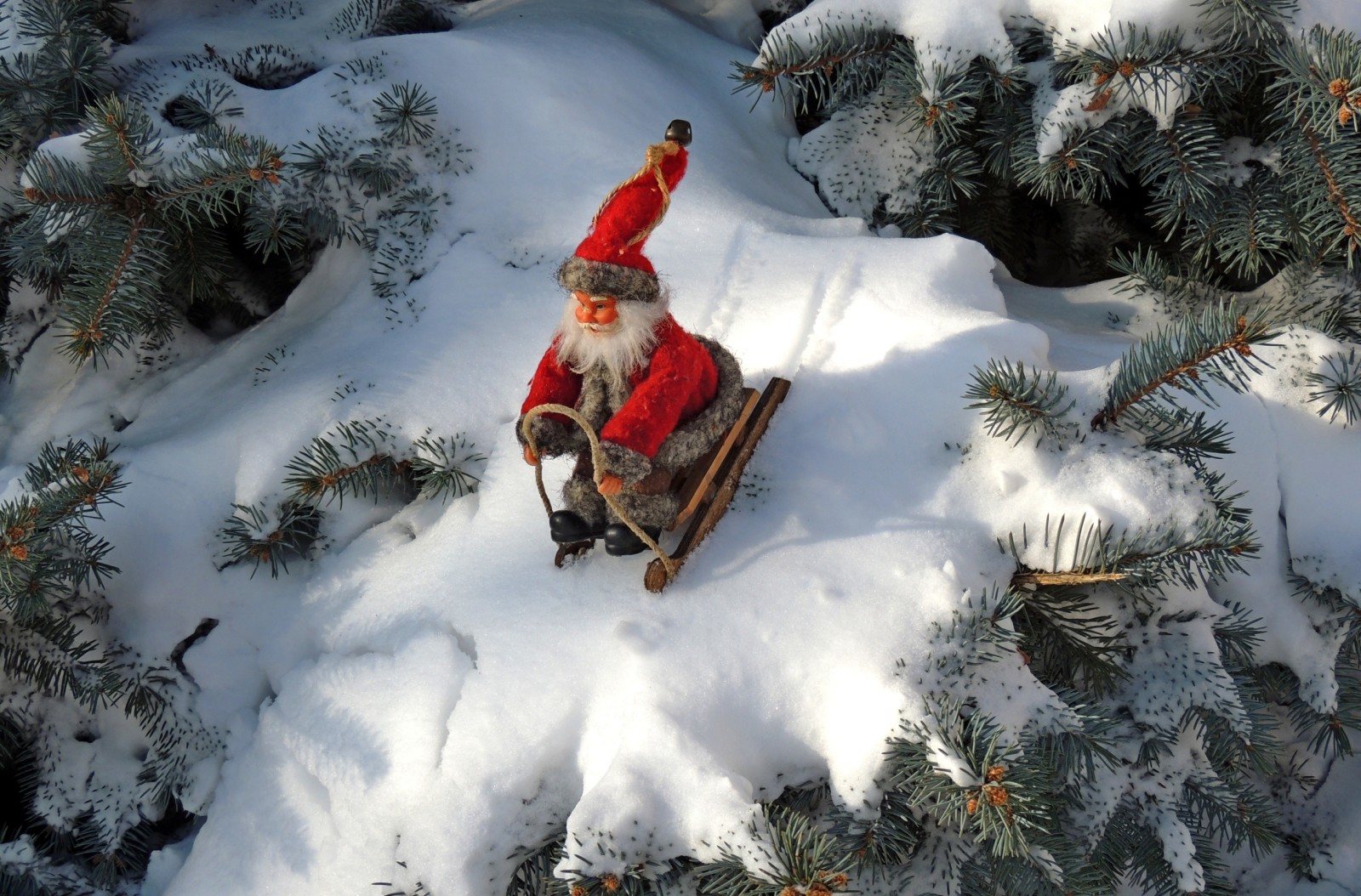 Baum, Winter, Weihnachtsmann