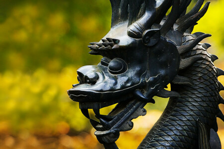 dragon, macro, wallpaper