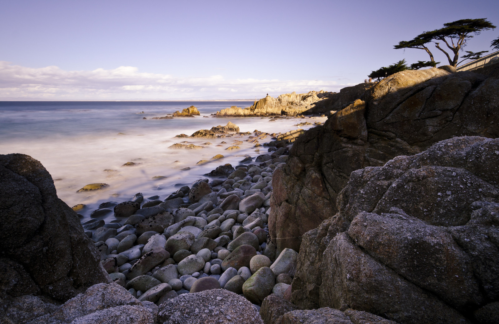 strand, stenar, träd, stenar, USА, Pacific Grove Acres