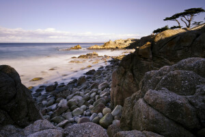 plaża, Pacific Grove Acres, skały, kamienie, drzewa, USА