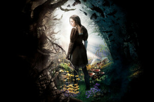 fantasia, Kristen Stewart, poster