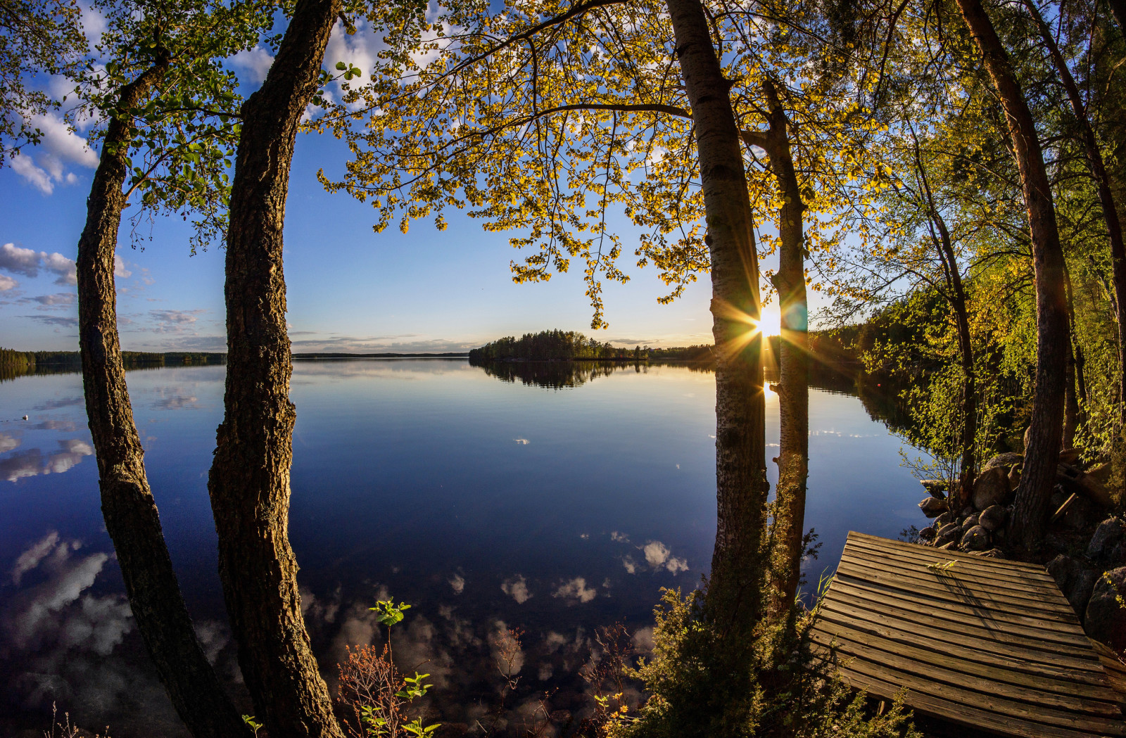 lago, arboles, amanecer, amanecer