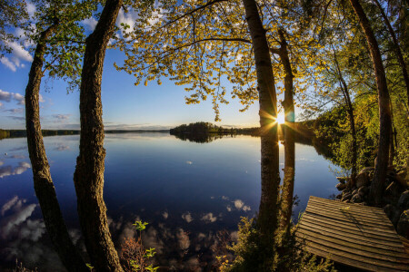 gryning, sjö, Soluppgång, träd