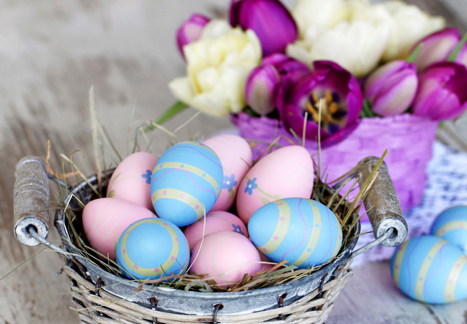 eggs, happy, tulips, colorful, Easter, Holidays