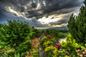 des nuages, champ, fleurs, forêt, Jardin, Gommiswald, légumes verts, HDR