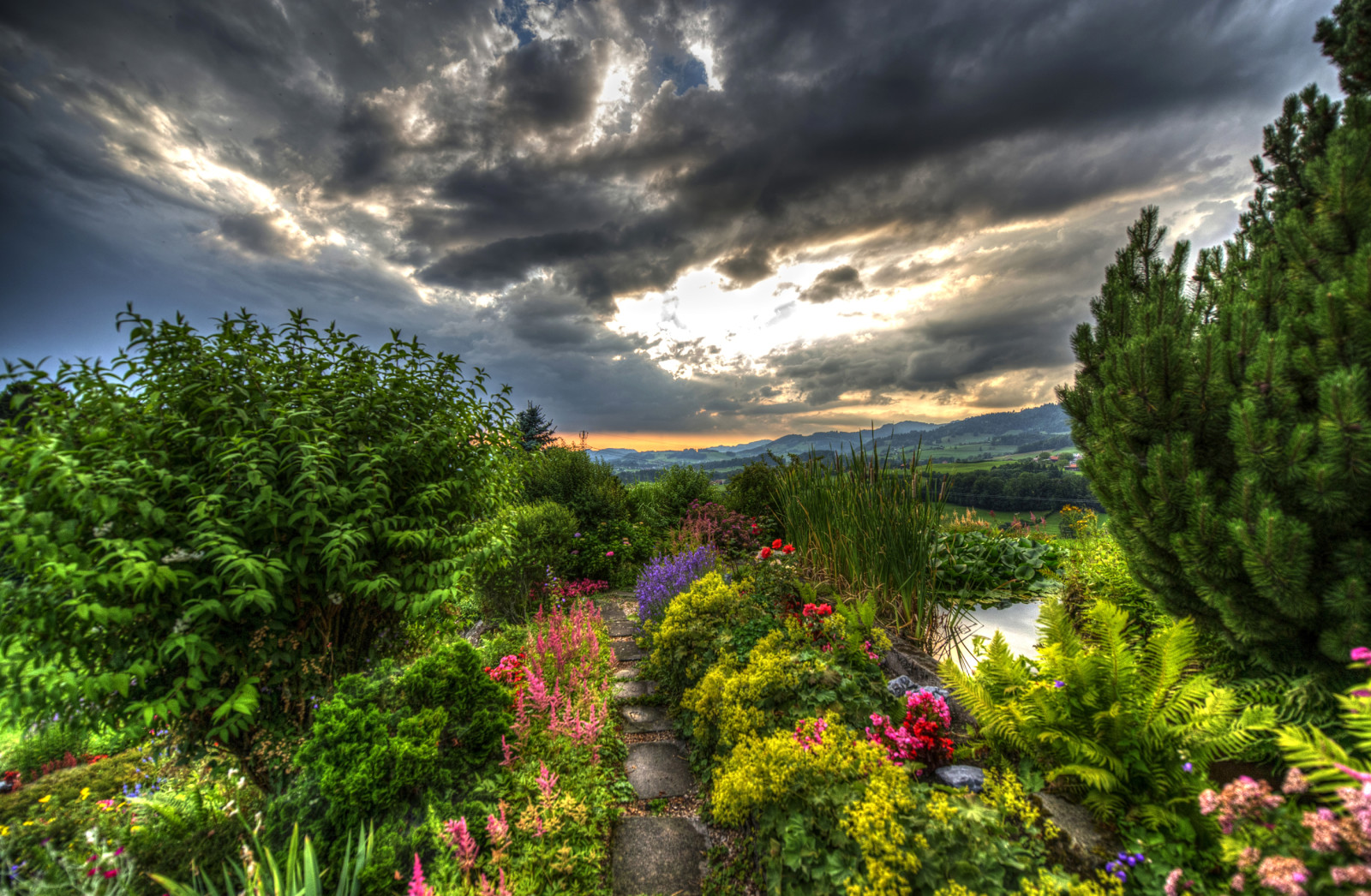 skog, schweiz, landskap, grönt, fält, blommor, moln, bergen