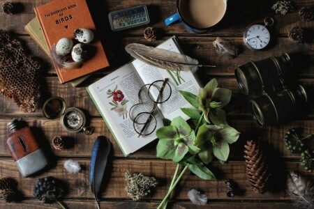 binoculars, book, bump, cell, compass, Cup, eggs, flowers