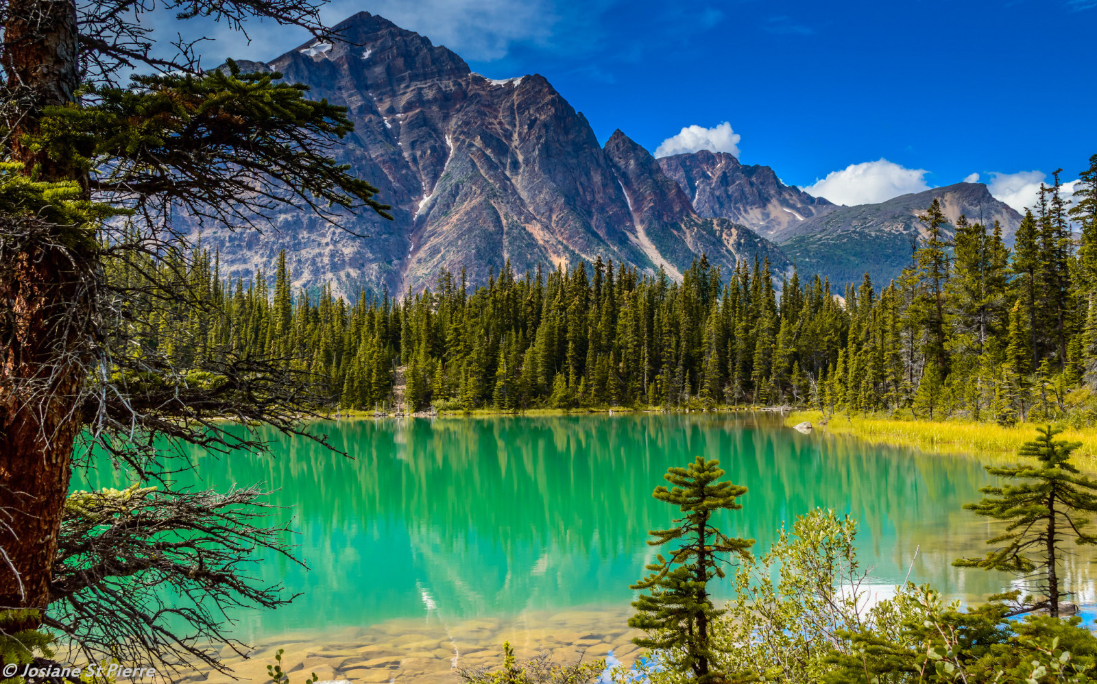 the sky, lake, trees, clouds, mountains