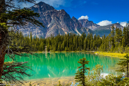 clouds, lake, mountains, the sky, trees