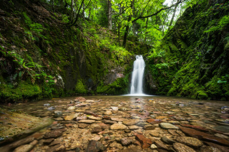 Woud, Duitsland, rivier-, stenen, waterval