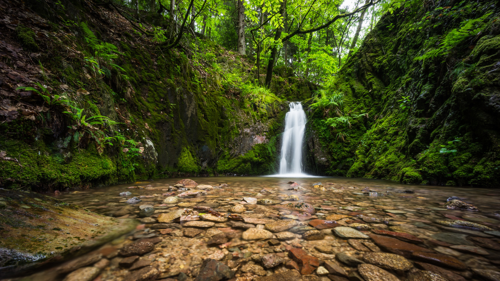 лес, река, камни, водопад, Германия