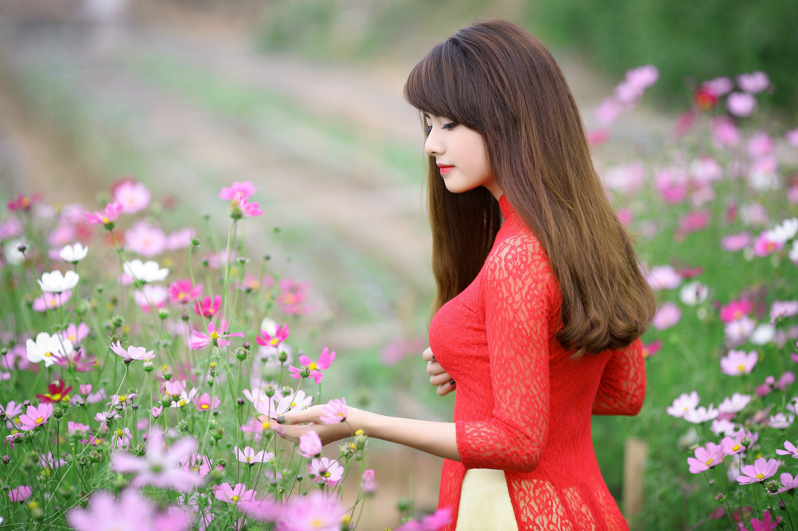 Mädchen, Hände, Blumen, Haar, Lippen, Kleid, rotes Kleid