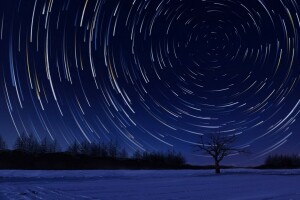 art, la nature, étoiles, Le ciel, des arbres