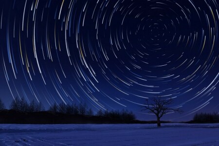 Arte, naturaleza, estrellas, el cielo, arboles