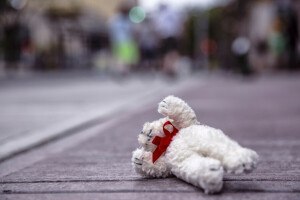 bear, dropped, on the floor, plush