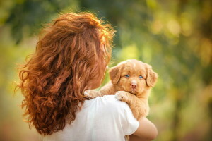 baggrund, hund, pige