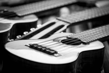 chitarra, macro, Musica