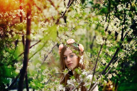 aux yeux bleus, branches, cheveux bruns, fleurs, fille