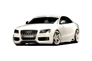 2010, aud, audi, i S5, Rieger