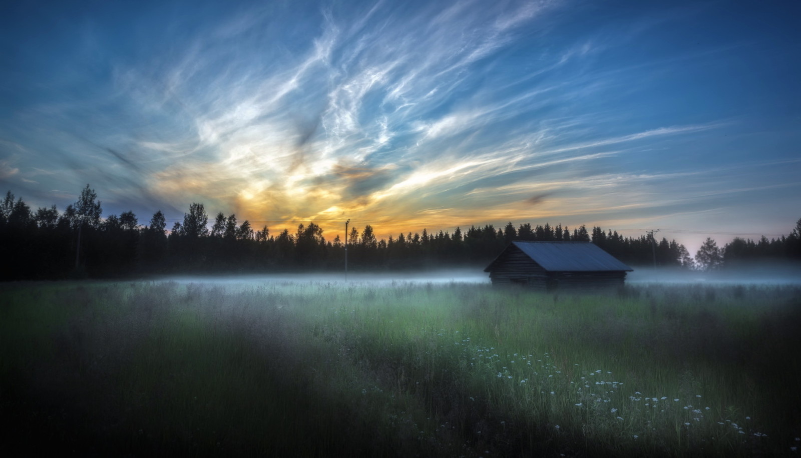 Haus, Feld, Morgen, Nebel