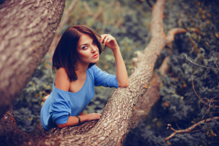 herfst, bokeh, brunette, Woud, meisje, natuur, buitenshuis, boom