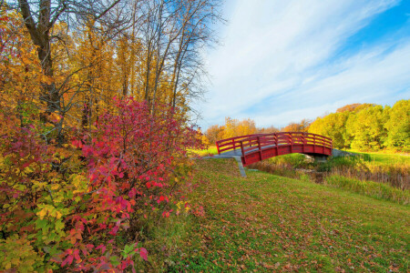 toamnă, nori, frunze, Parc, curent, podul, Crimson, cerul